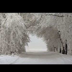 Meet your Posher, Eva